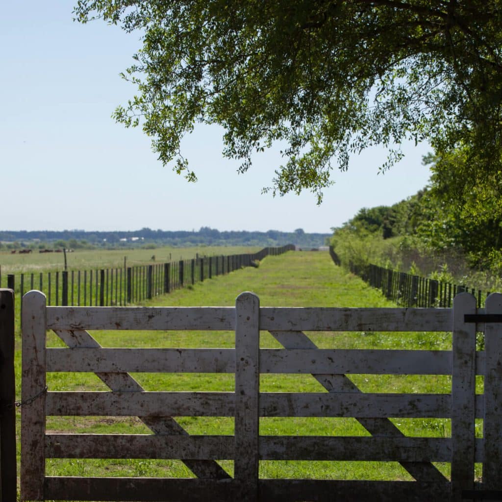 Gate leading into field