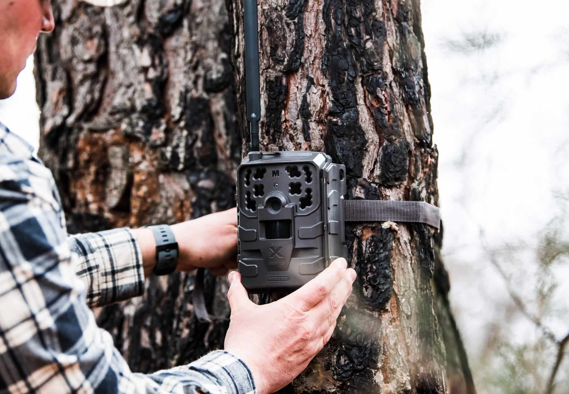 Man strapping cellular trail camera to tree