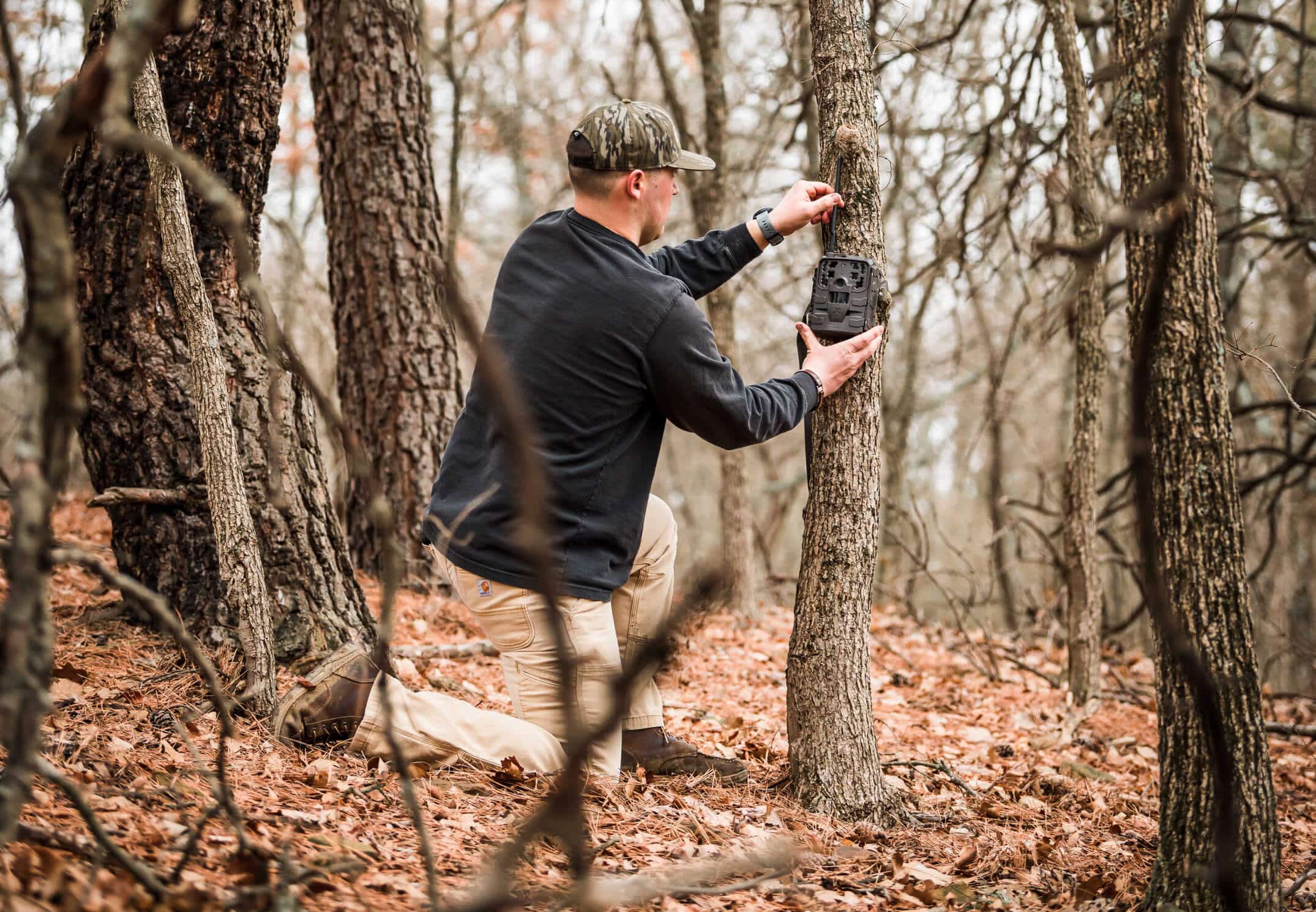 Man setting up cellular trail camera on tree