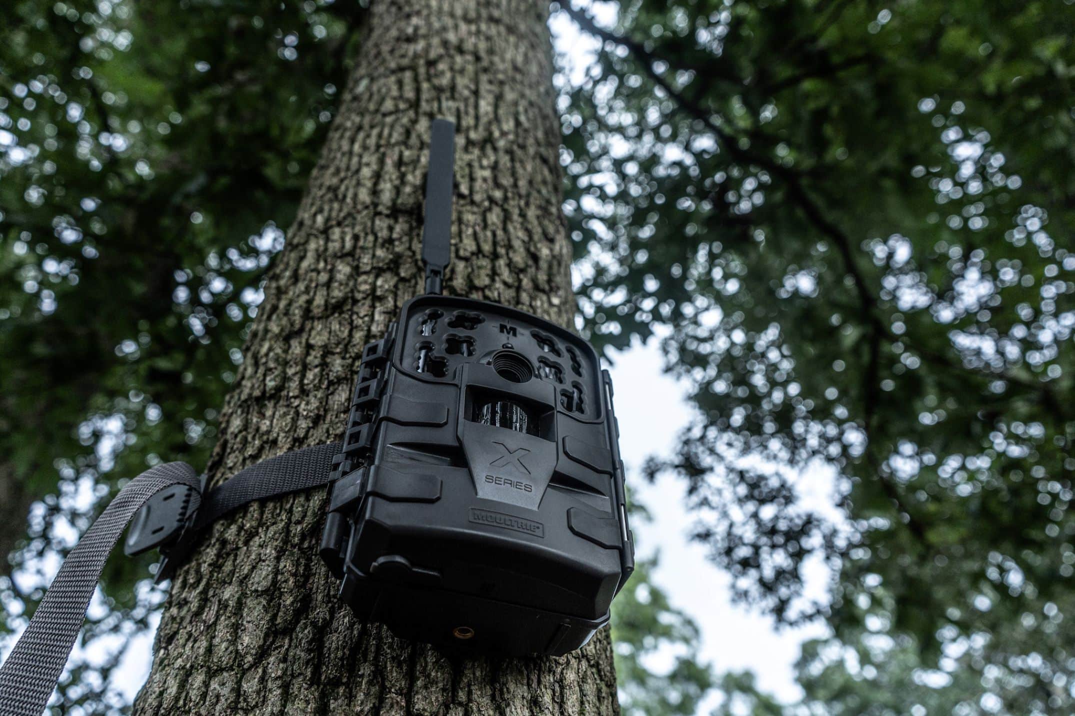 can-trail-cameras-be-used-for-home-security