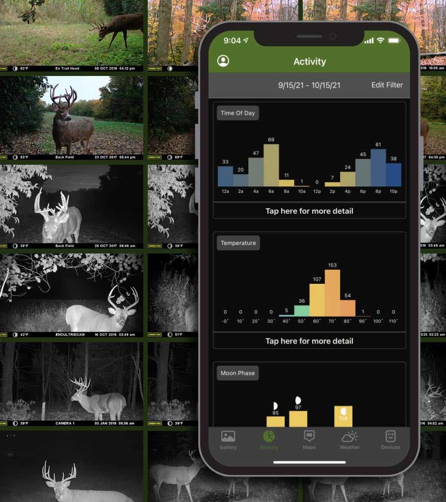 Activity Charting on Delta Camera