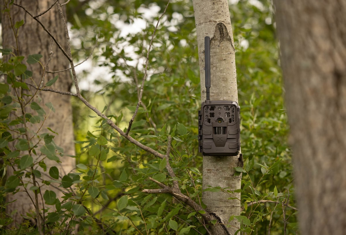 Moultrie Mobile X Series Cellular Trail Camera Mounted To Tree