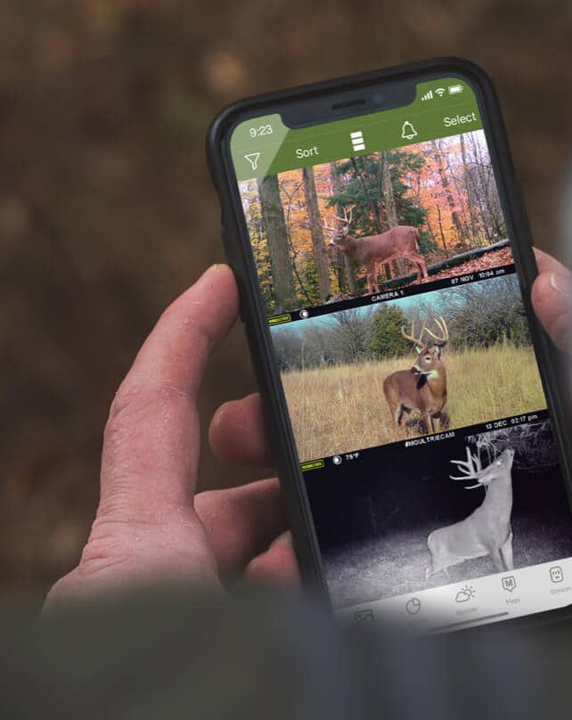 Hands holding iPhone with Moultrie Mobile app open