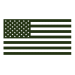 Green USA flag icon