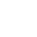 White USA flag icon